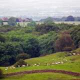 DSCF4438