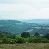 DSCF4455