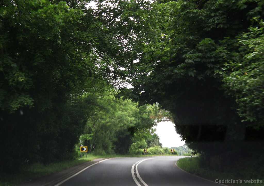 DSCF4413