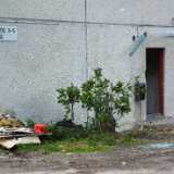 DSCF4503