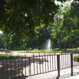DSCF4118