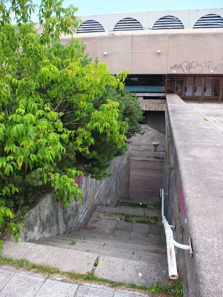 DSCF4046