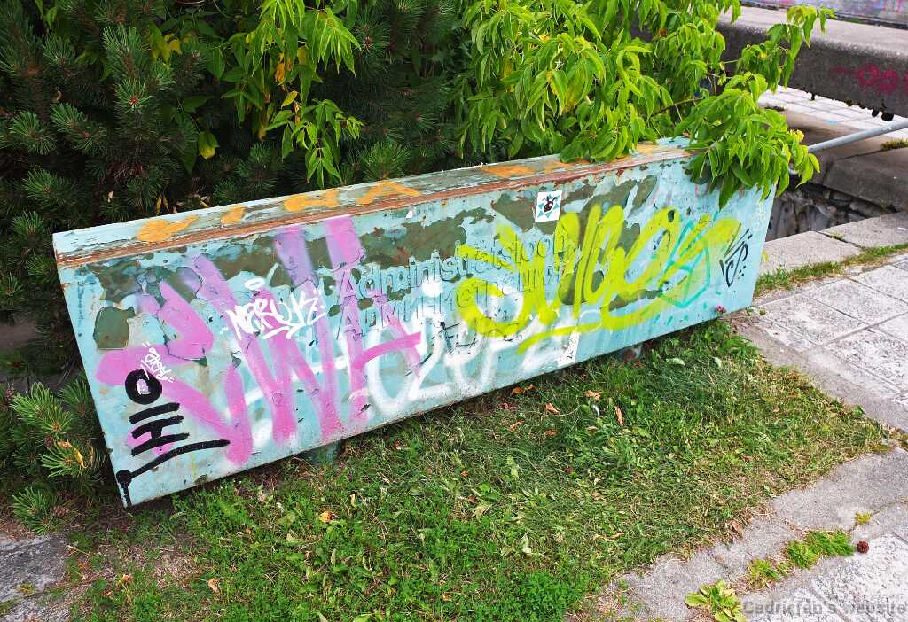 DSCF4047