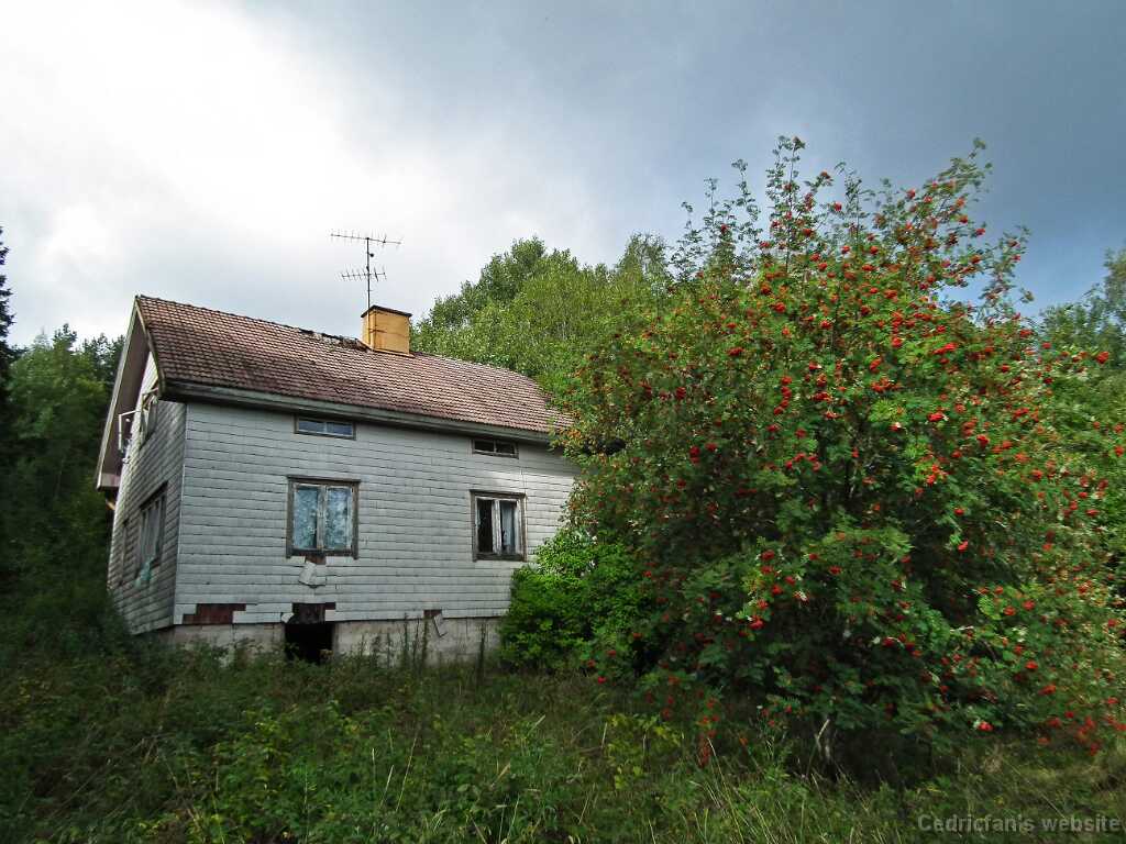 DSCF4554