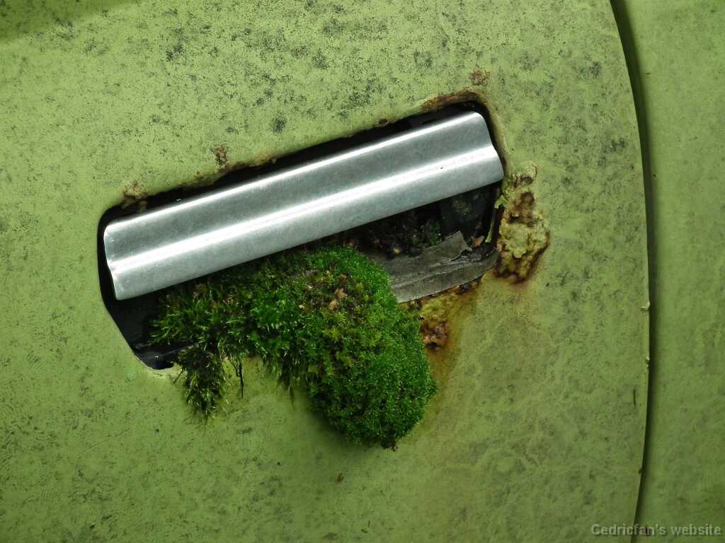 DSCF4563