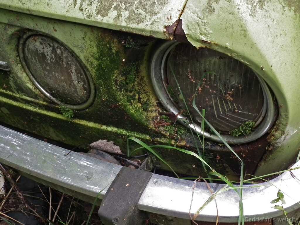DSCF4565