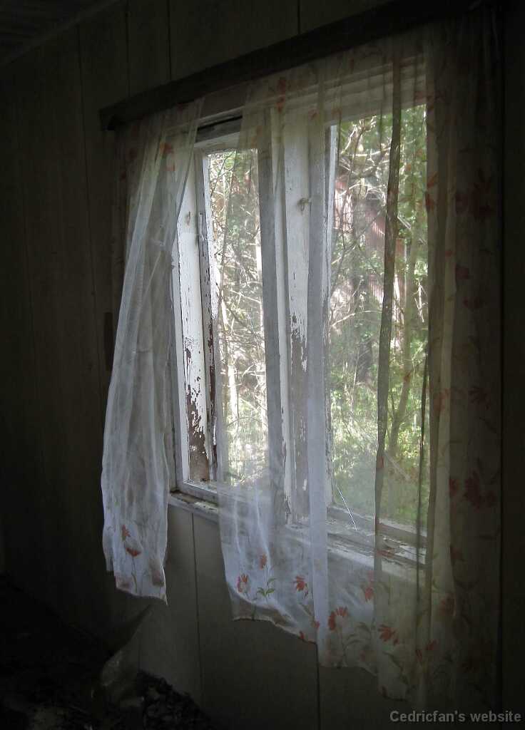 DSCF4588