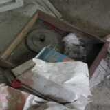DSCF4594