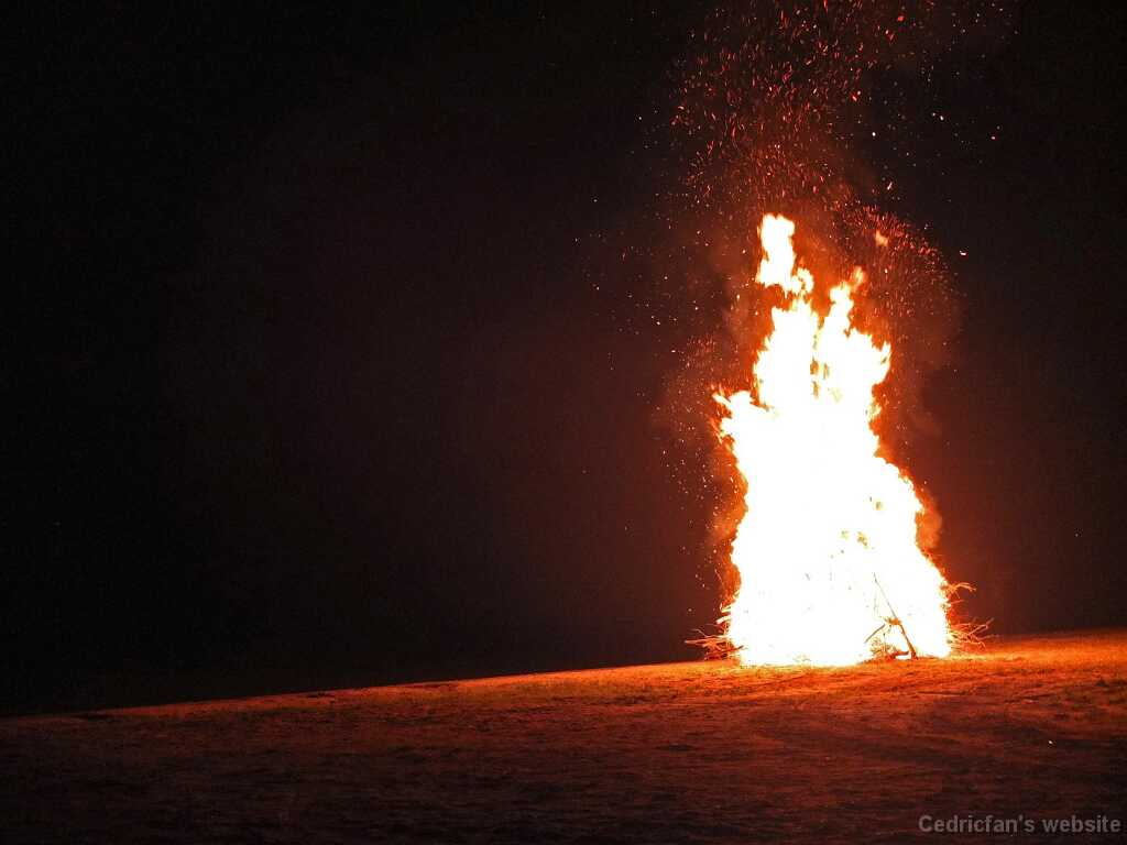 DSCF4303