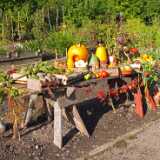 DSCF4425
