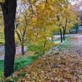 DSCF4774