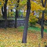 DSCF4775