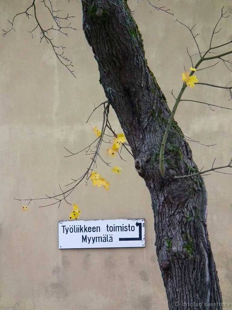 DSCF4723