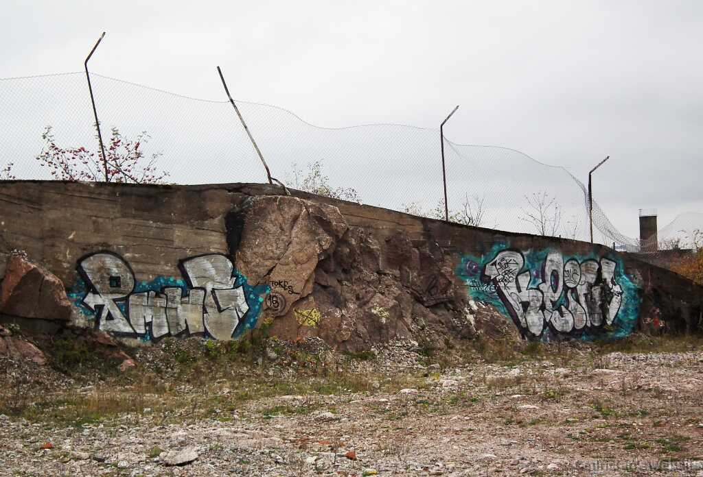 DSCF4738