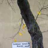 DSCF4723