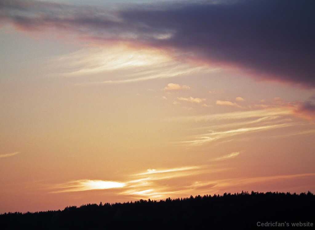 DSCF4711