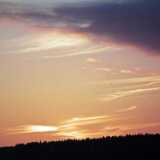 DSCF4711