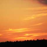 DSCF4717
