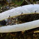 L1090099