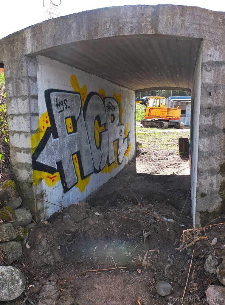 DSCF4683