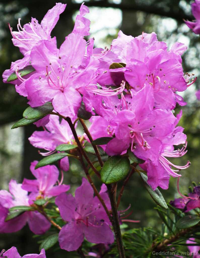 DSCF5001