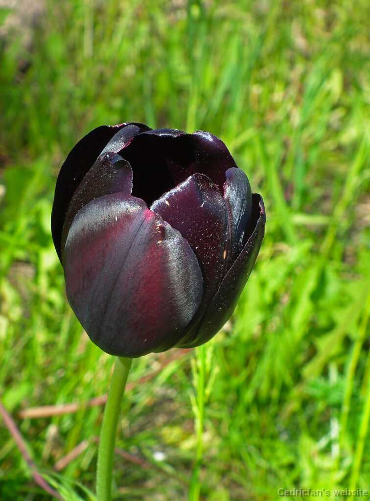 DSCF5058