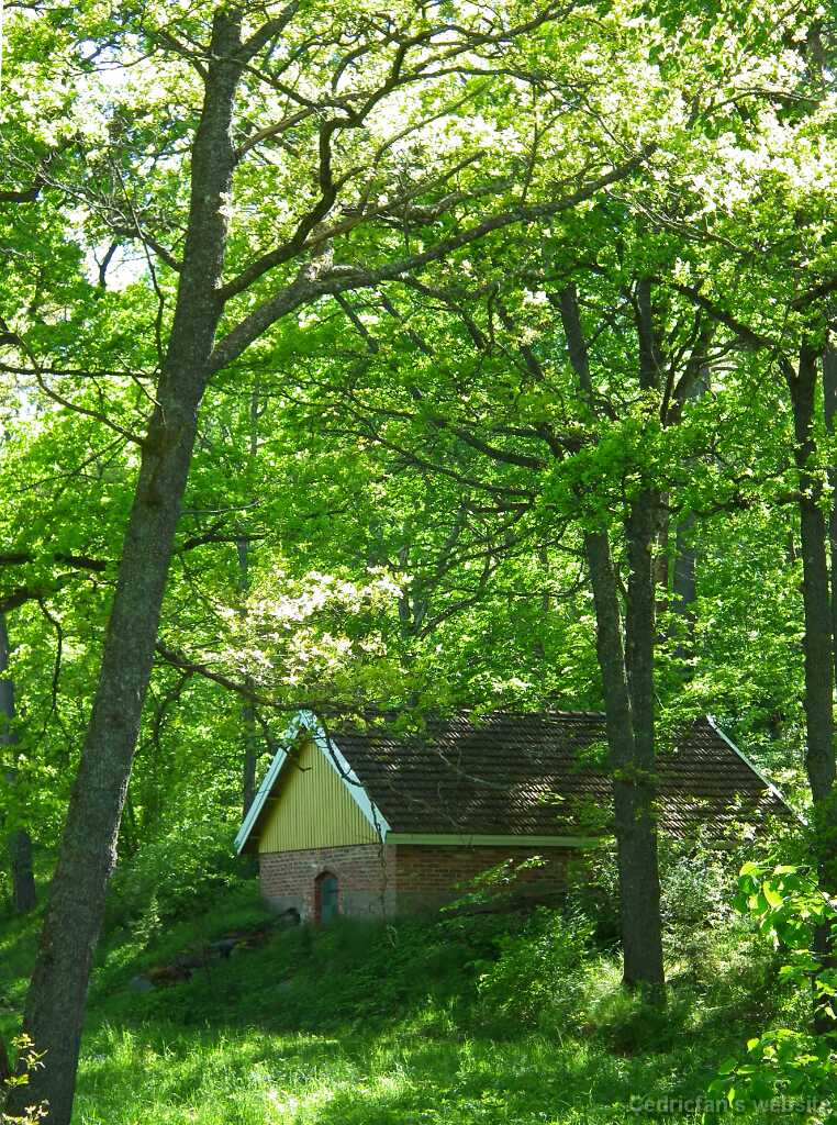 DSCF5067