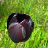 DSCF5058