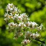 DSCF5060