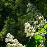DSCF5063