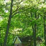 DSCF5067