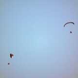 DSCF5101