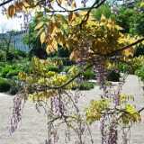 DSCF5137