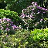 DSCF5143
