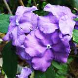 DSCF5147