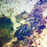 DSCF5148