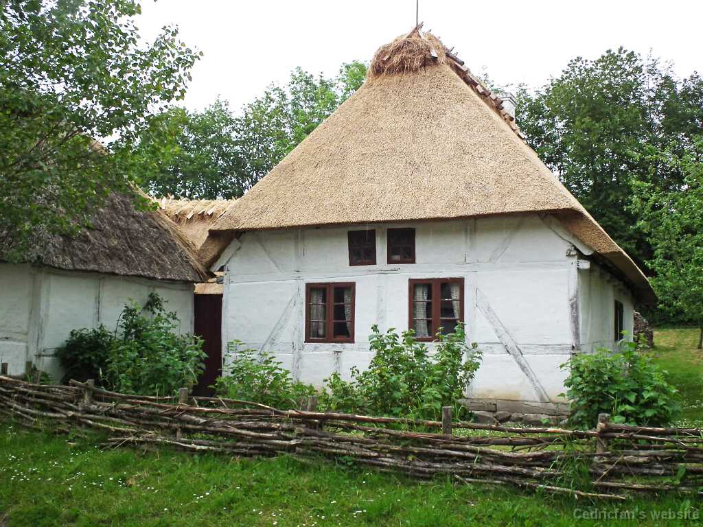 DSCF5214