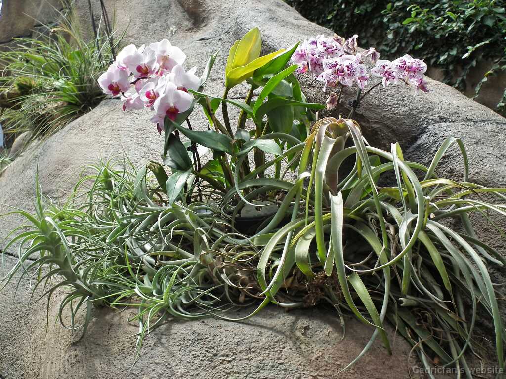 DSCF5680