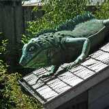 DSCF5652