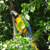 DSCF5662