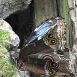 DSCF5675