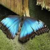 DSCF5676