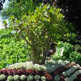 DSCF5682