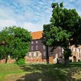 DSCF5441