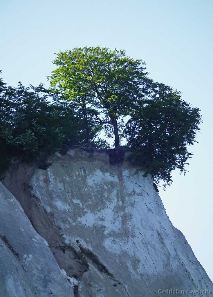 DSCF5190