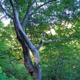 DSCF5183