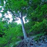 DSCF5184