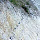 DSCF5195