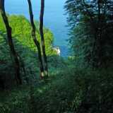 DSCF5198
