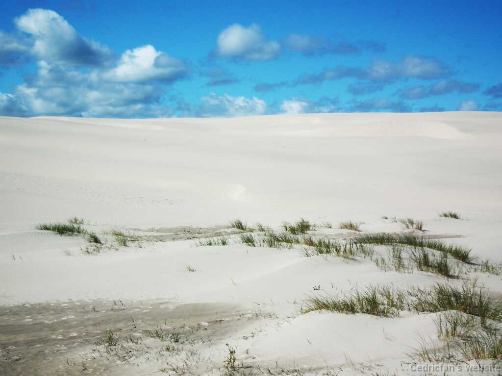 DSCF5543